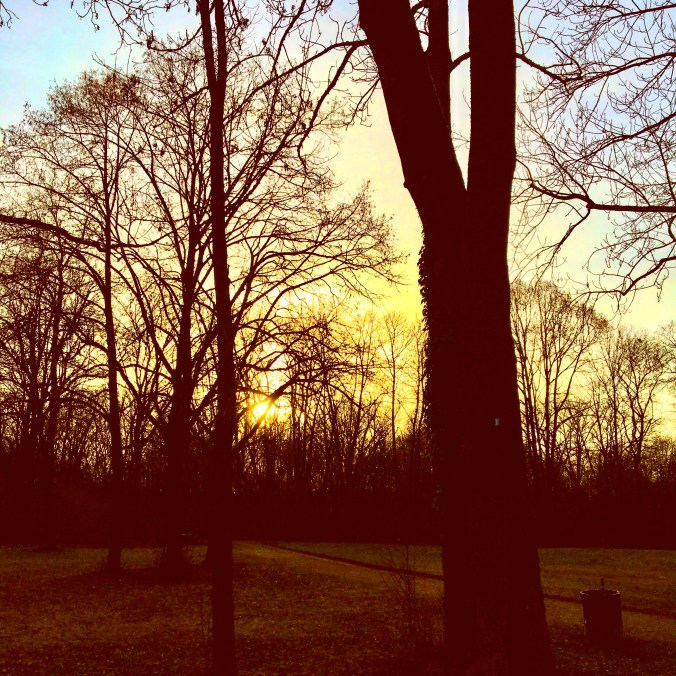 35752C73-5EA4-4FC4-A984-F6BC5DC231FA