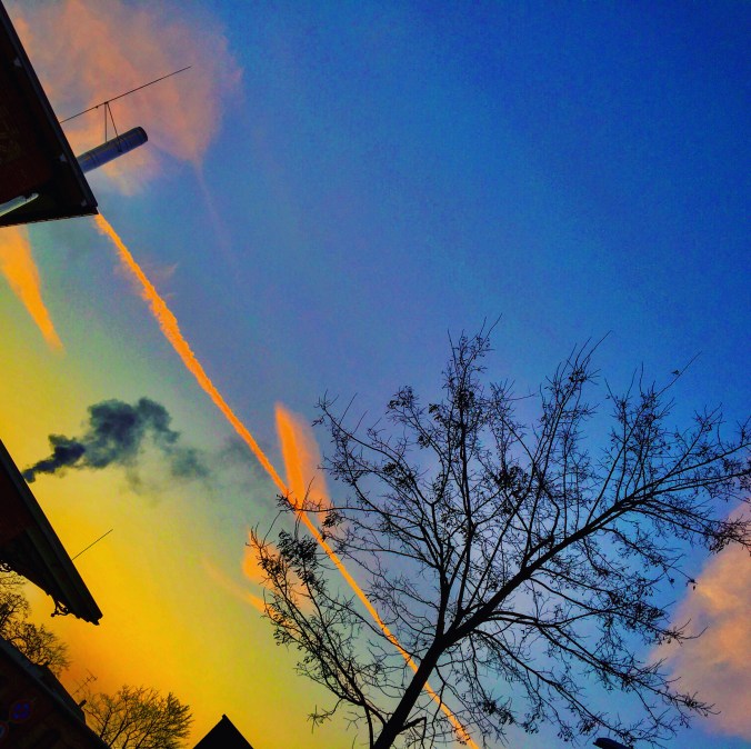 9A974188-BD11-401E-9EB2-5540901BA88F