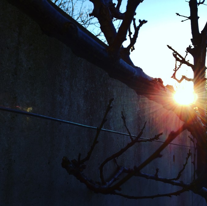 0C094DF7-D4BE-473F-BC43-4CEED7DBB7C9