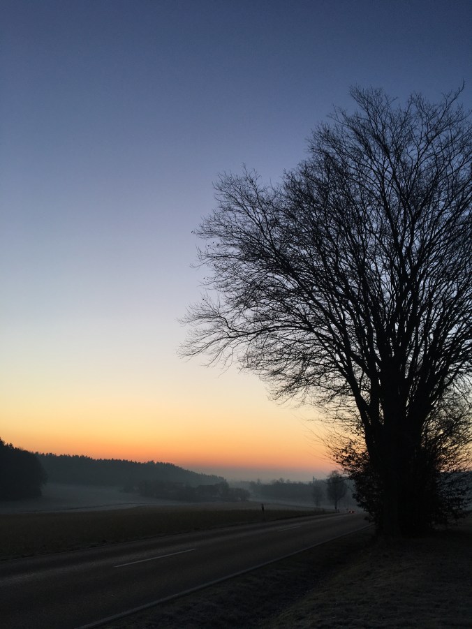 490638A6-CA01-4878-8599-476516E468E8