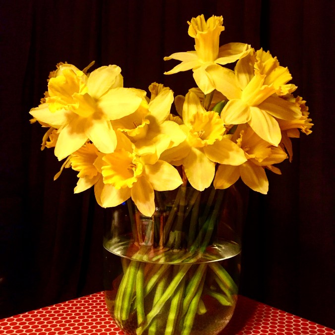 BF50DDB1-C00F-4DE0-AF8A-1FCA13E8D61D