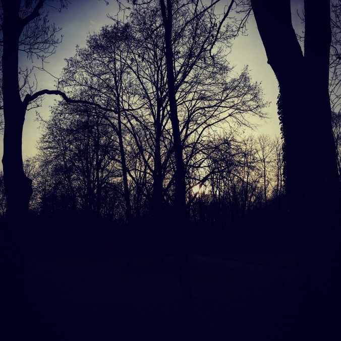 E74D1C70-D5BE-464A-8AAA-1064610641A9