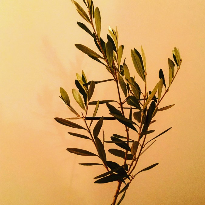 F07EA3EB-D647-4392-A3DC-6132971E4CE0