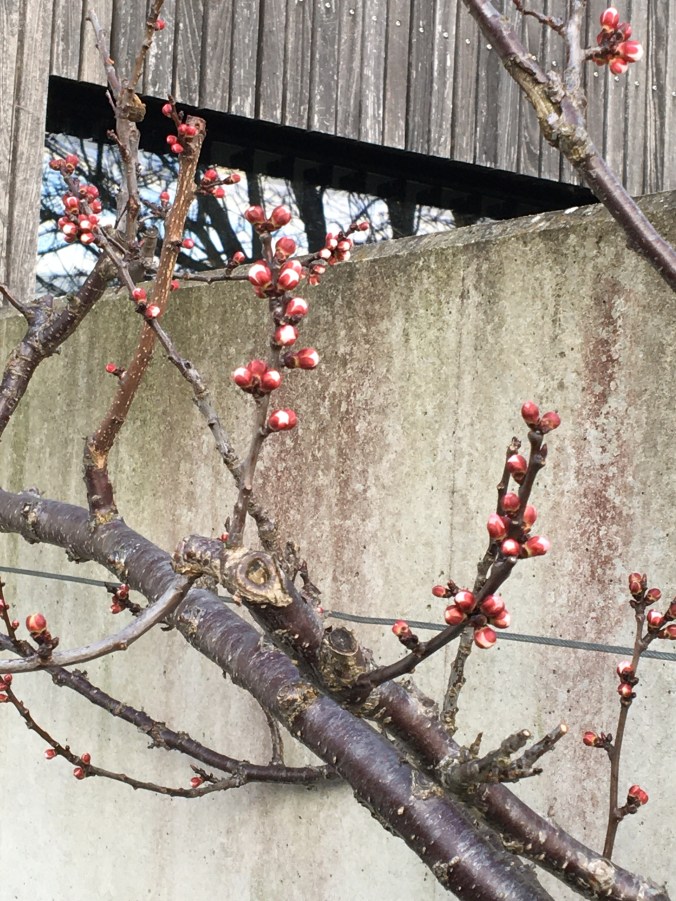 7A84D93C-D5BD-4C8E-BB0F-EA5E096061B9