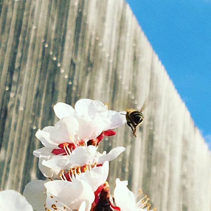 910C7C6D-0A75-4255-9B99-4115C999CDA0