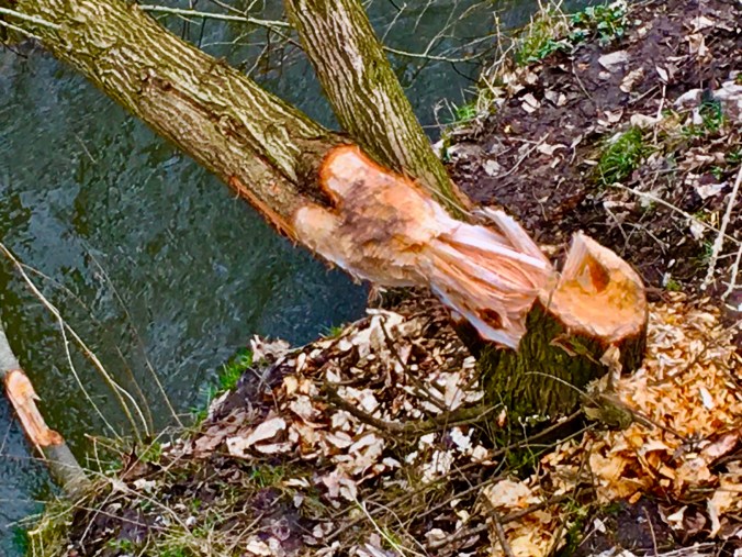 98791305-E667-45B4-91F6-5EB3B116002D