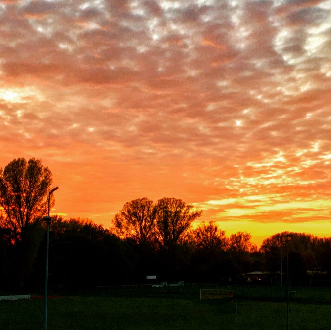 23C57FD9-CA8E-463E-84E1-7A3A26A942AA