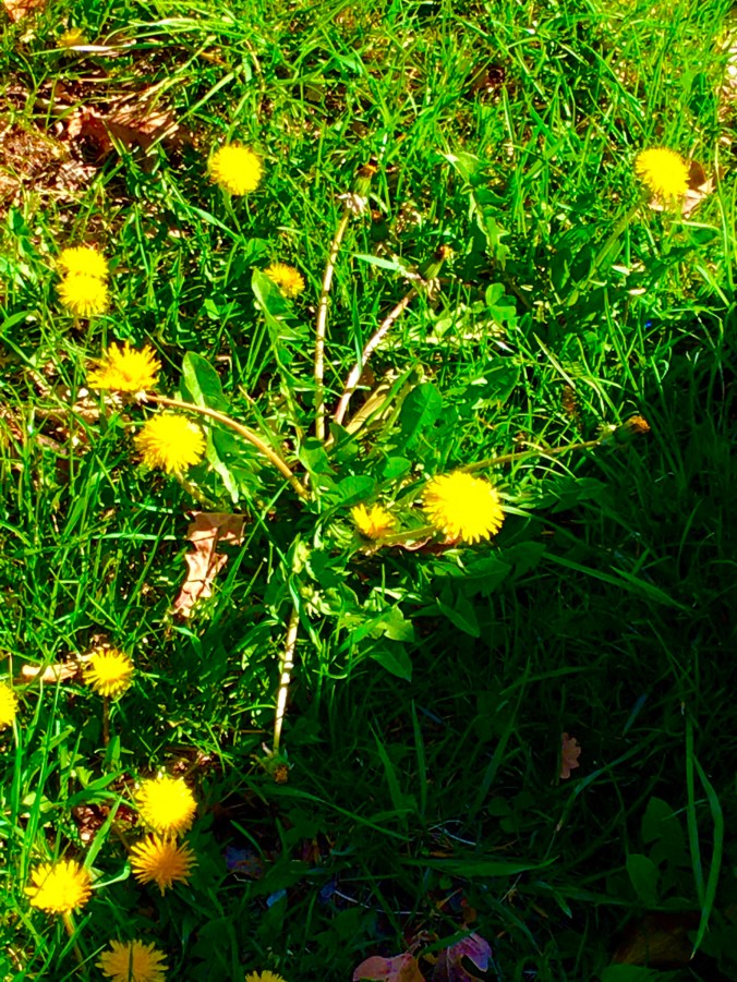 41C0A306-0EBD-4A61-AB9C-B529CD19333D