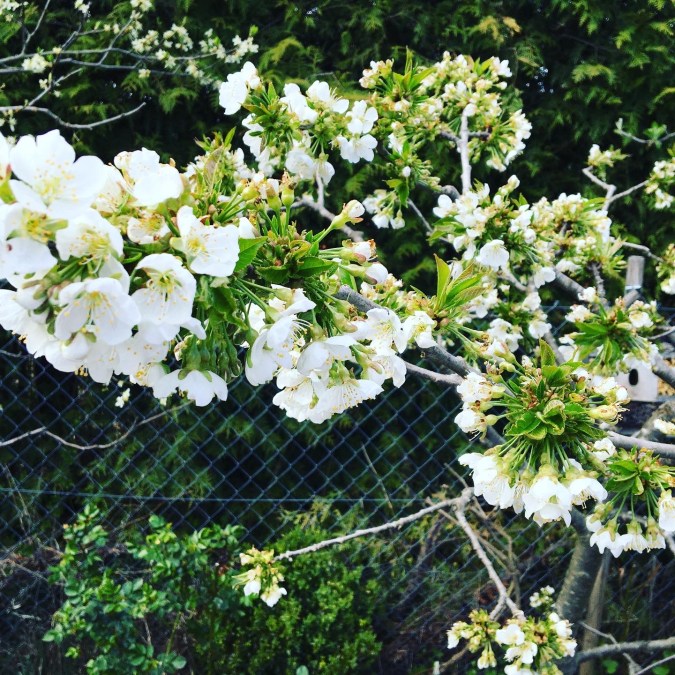 6D5A2521-1834-451D-8CAE-A9C74A64099D