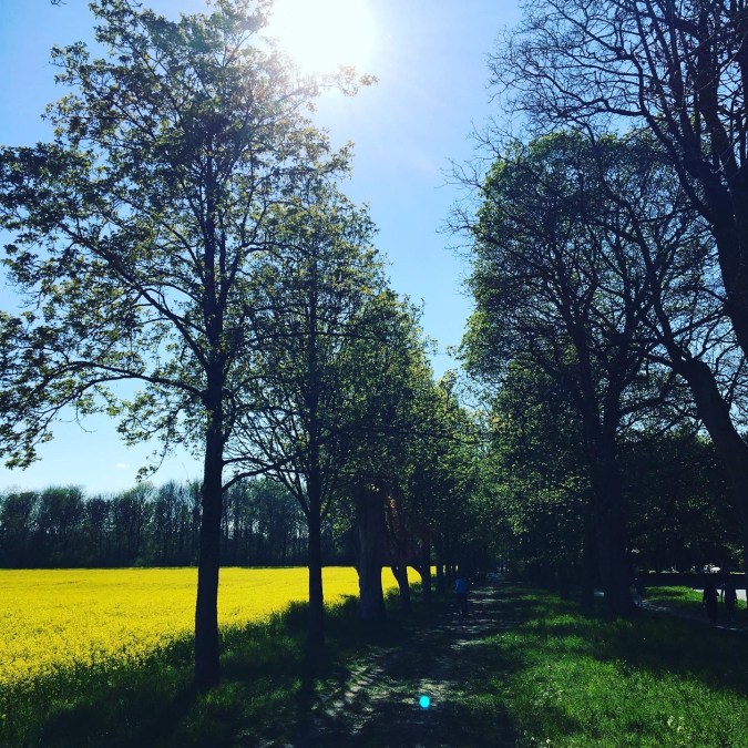 82929956-2C66-4AB2-B1B4-E9402863C3D9