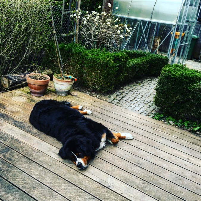 866B6B91-224F-4609-A692-4E54A464AFC2