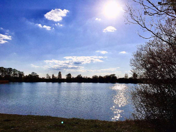 937BD59B-CE9A-4BBD-A27F-0F9F6FB9D419