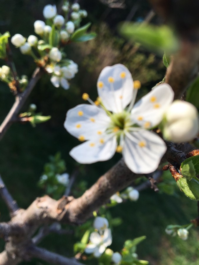 B3D7BC6A-5B1D-4860-ABEF-404DA01E14B9