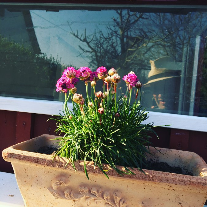 E110D203-39ED-4DBF-84B0-09AF2A5A5F64