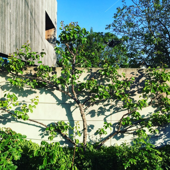 014271AC-7DC9-4FF3-93F8-7258C2C4C4B7