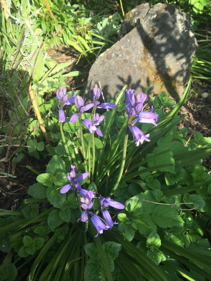 311FB89E-DD2E-4EB6-B031-F0F873216E0F