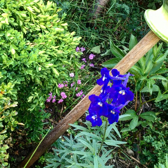 67B678DF-4706-43A5-B704-8936639536DC