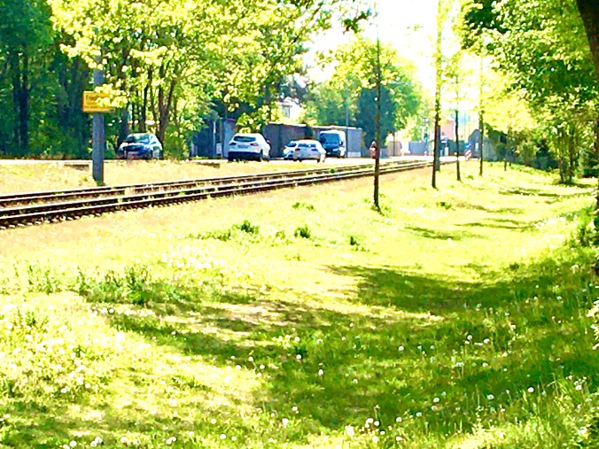 70FD43F9-CF2B-4A58-BD6C-66001DA51C17