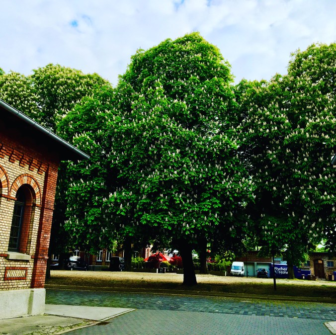 7EB593CB-A755-45DD-85D4-DC468A0EEF2F