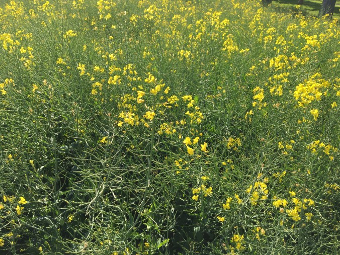 A69FFE02-89BC-4174-B6BF-C6FDDE836E1B