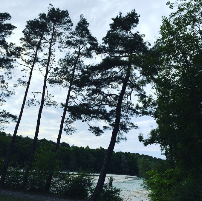 CBE88C87-B1B1-44DE-A1E2-591233929F9E