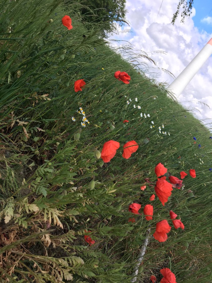 F40B3B95-2BA7-4E0F-B546-ADFE8BBE511A