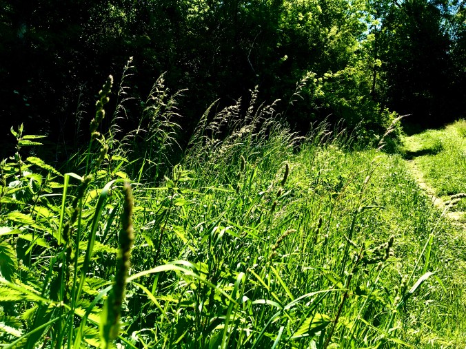 6D522DE3-A49F-4EC6-BF6A-D5DF632DDF68