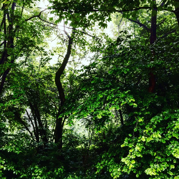 9F4CB177-E76A-4D48-87CE-49AACDA51366