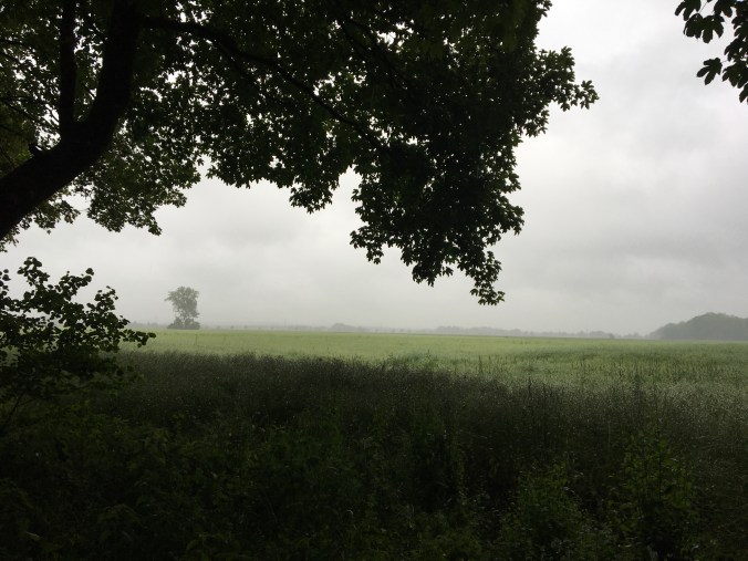 A7CE01D2-8390-483B-8BA8-F4F8CCD19C91