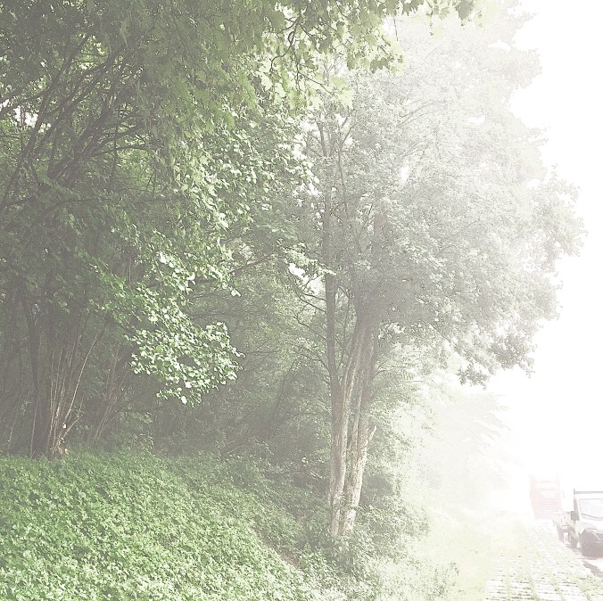 BF3A979F-82F3-40BB-85E1-063EFE282CF8