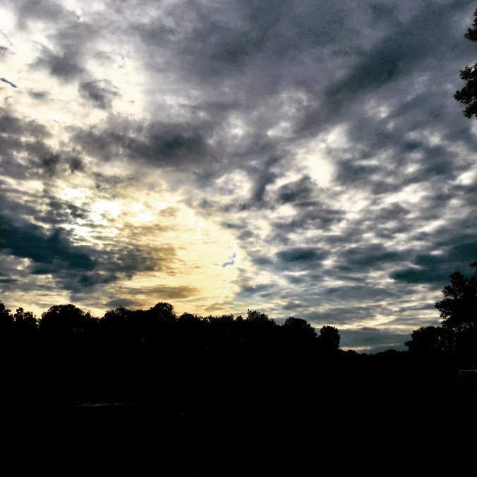 E50AE718-CA05-45CA-9806-90DEFA85DE98