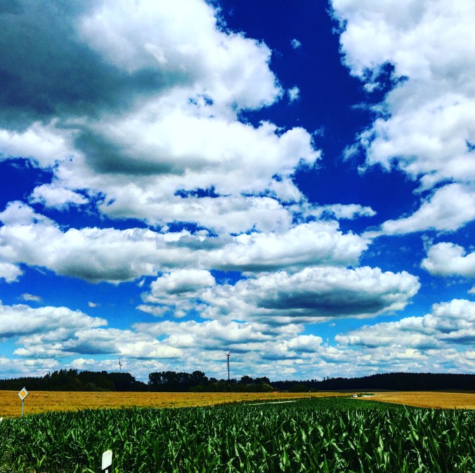 524E976E-1A5D-4FD0-8B03-AF25CA85A950